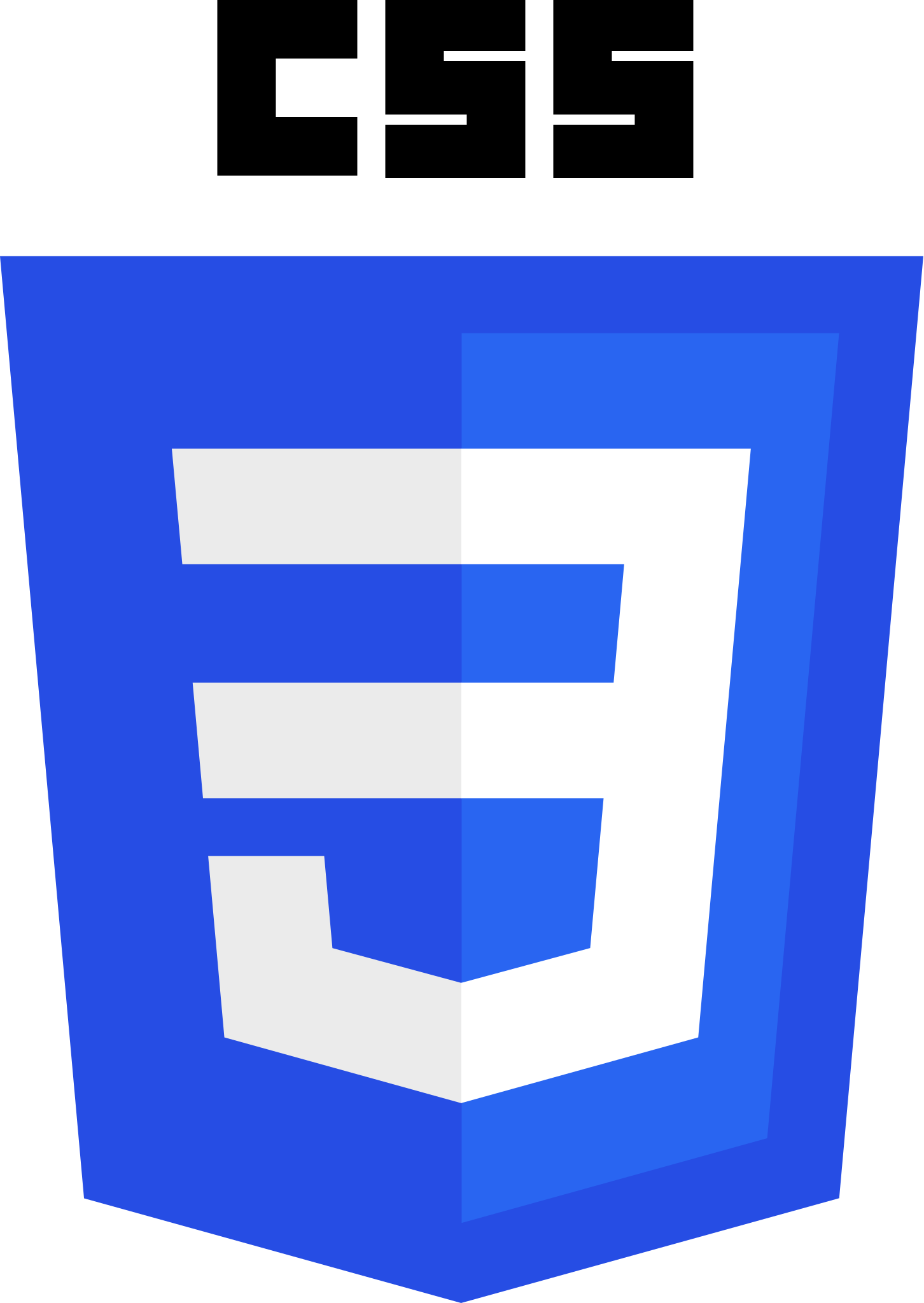 Css logo